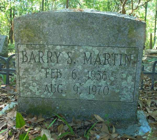 Barry S. Martin Gravestone Photo