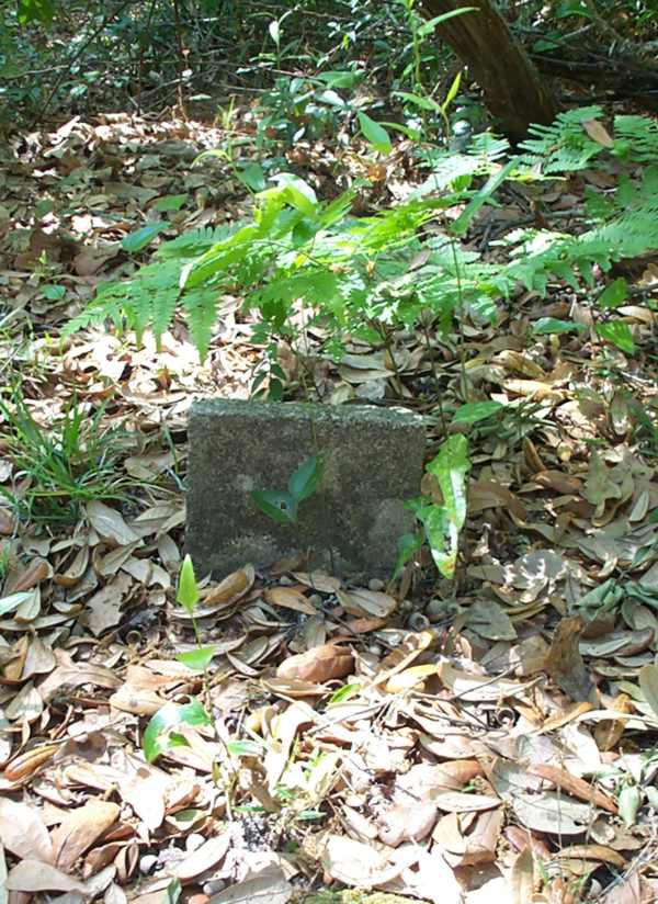  Unknown Gravestone Photo