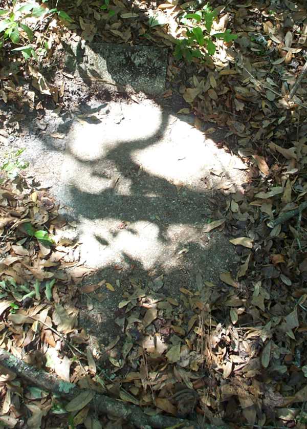  Unknown Gravestone Photo