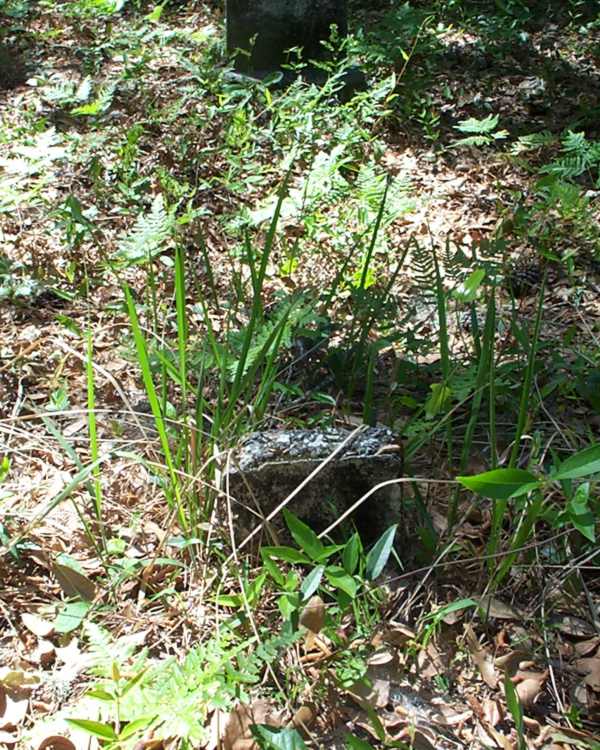  Unknown Gravestone Photo