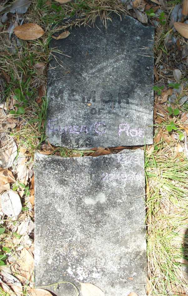 Elizer C. Roe Gravestone Photo