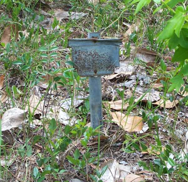  Unknown Gravestone Photo