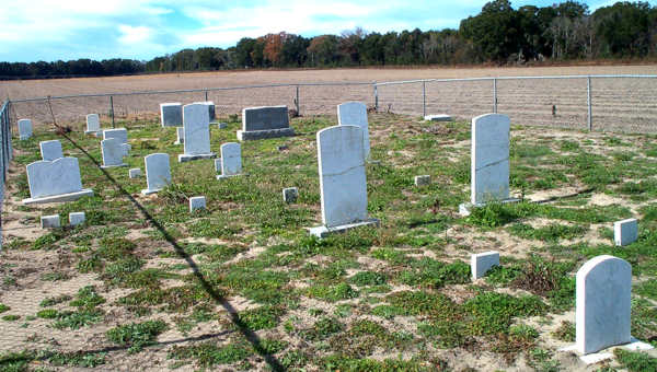  Sectional View Gravestone Photo