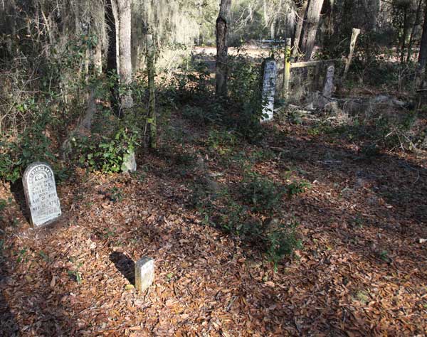  Wide Angle View Gravestone Photo