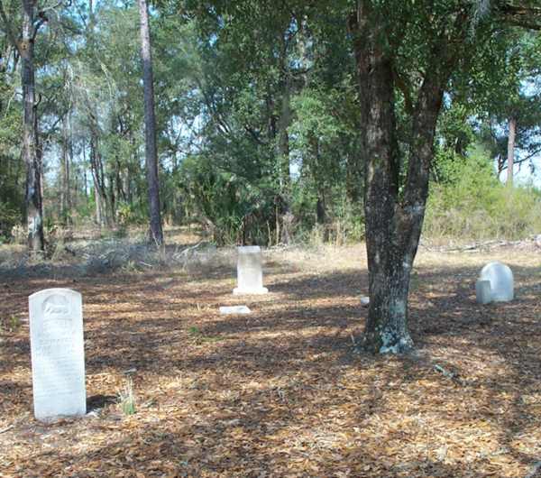  Sectional View Gravestone Photo