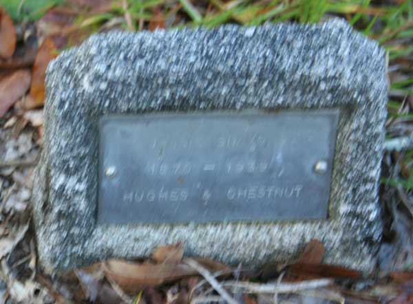  SIMMONS Gravestone Photo