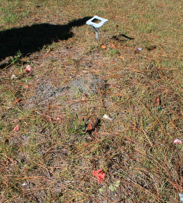  Unknown Gravestone Photo
