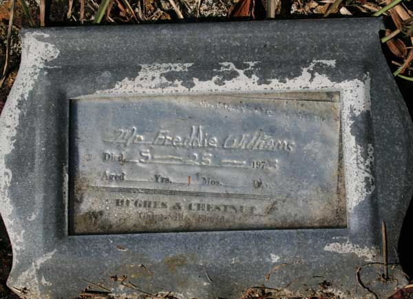 FREDDIE WILLIAMS Gravestone Photo