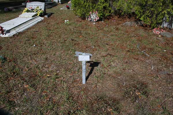  Wview of section Gravestone Photo