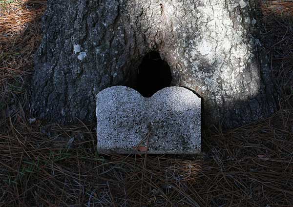  unknown Gravestone Photo