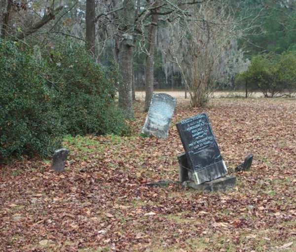  Sectional View Gravestone Photo