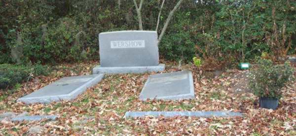  Sectional View Gravestone Photo