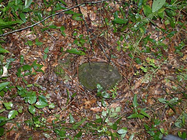  Unknown Gravestone Photo