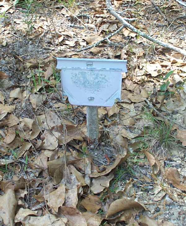  Unknown Gravestone Photo