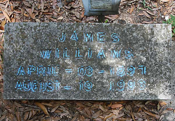 James Williams Gravestone Photo