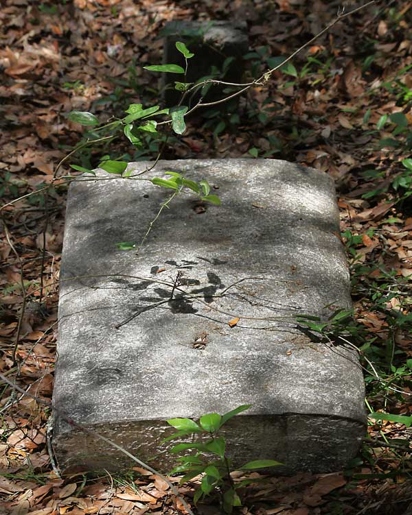  Unknown Gravestone Photo
