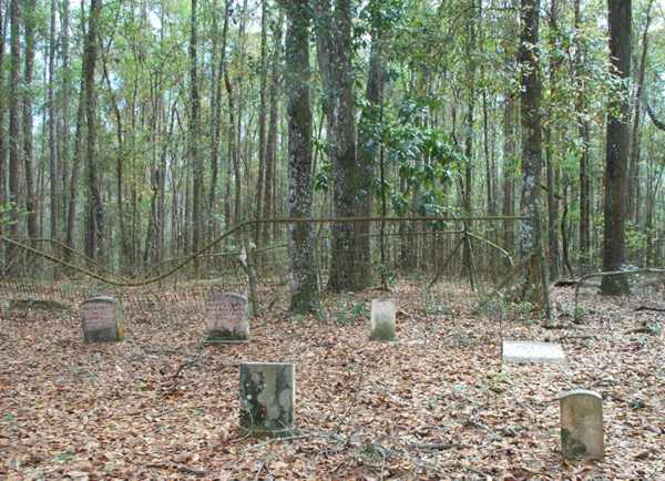  Sectional View Gravestone Photo