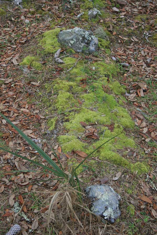 Unknown Gravestone Photo