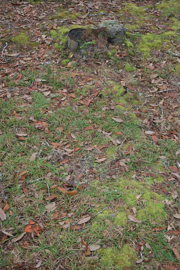  Unknown Gravestone Photo