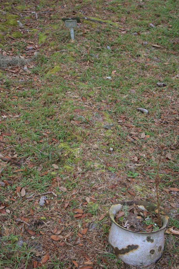 Unknown Gravestone Photo