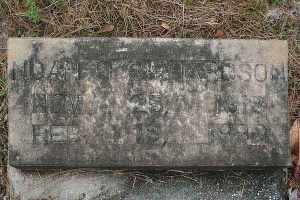 Noah C. Richardson Gravestone Photo
