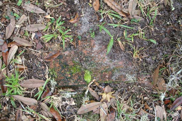  Unknown Gravestone Photo