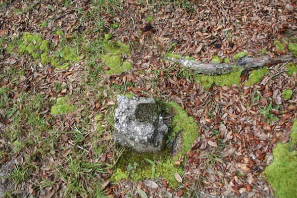  Unknown Gravestone Photo