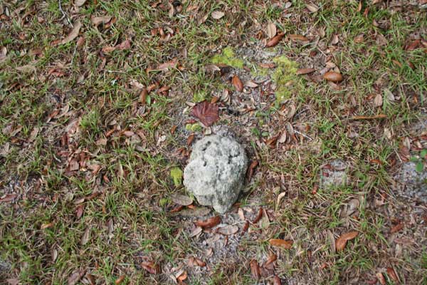  Unknown Gravestone Photo