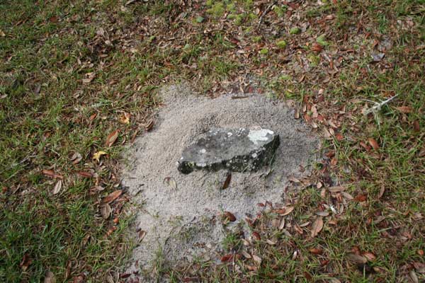  Unknown Gravestone Photo