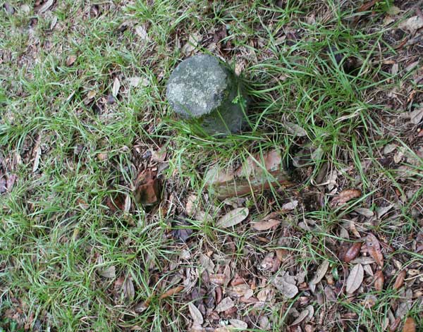  Unknown Gravestone Photo