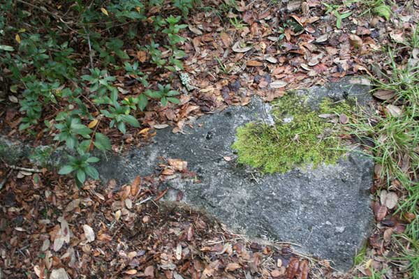  Unknown Gravestone Photo