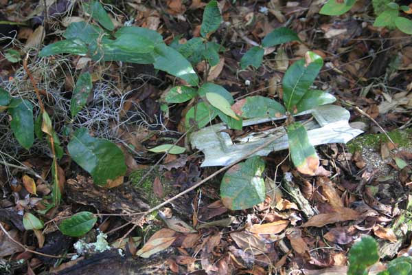  Unknown Gravestone Photo