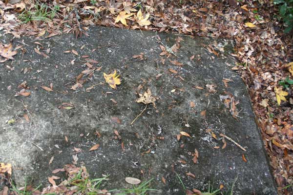  Unknown Gravestone Photo
