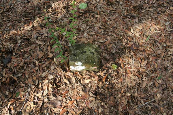  Unknown Gravestone Photo