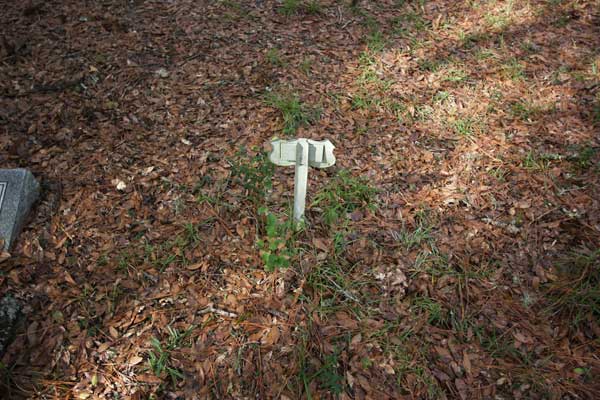  Unknown Gravestone Photo