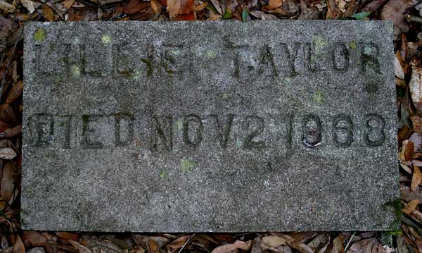 Lillie Taylor Gravestone Photo