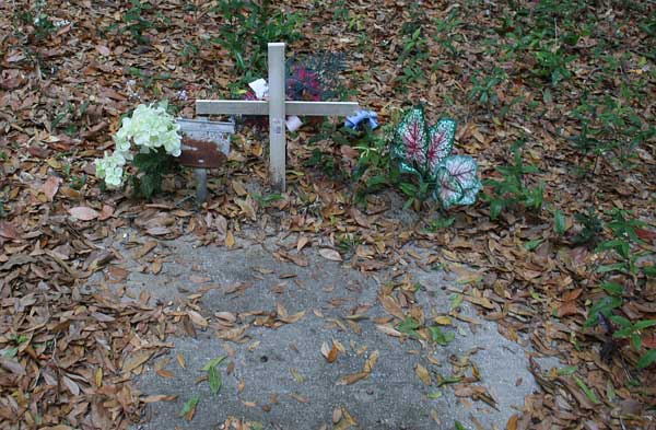 Unknown Gravestone Photo