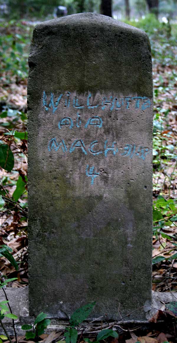 Will Hutts Gravestone Photo