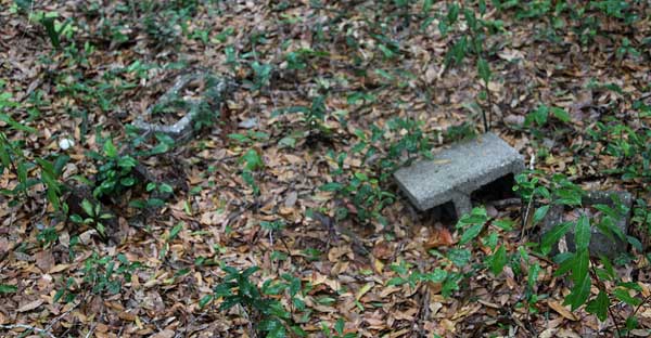  Unknown Gravestone Photo