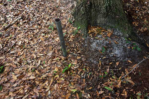  Unknown Gravestone Photo