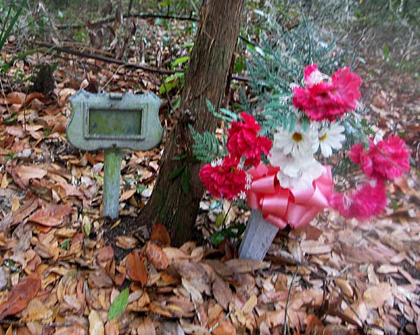  Unknown Gravestone Photo