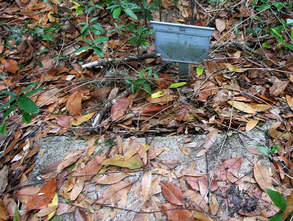  Unknown Gravestone Photo