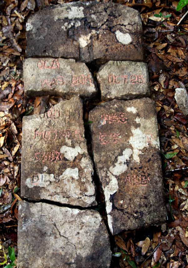 Ola Unknown Gravestone Photo