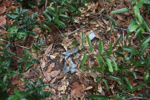  Unknown Gravestone Photo