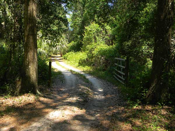  wview Gravestone Photo