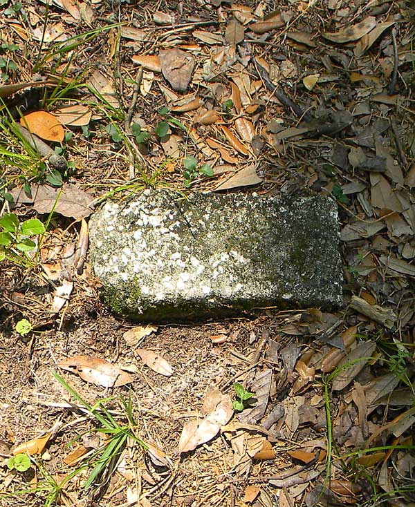  Unknown Gravestone Photo