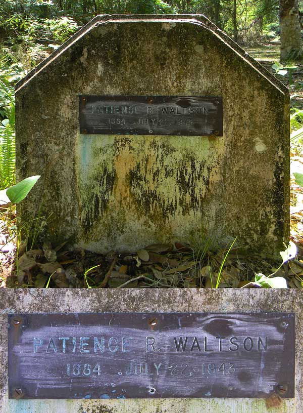 Patience R. Waltson Gravestone Photo