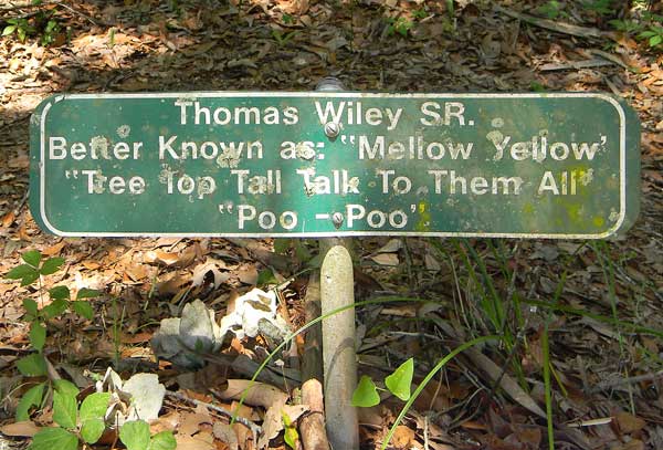 Thomas Wiley Gravestone Photo
