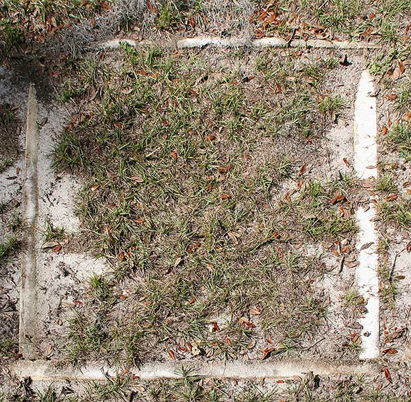  Unknown Gravestone Photo