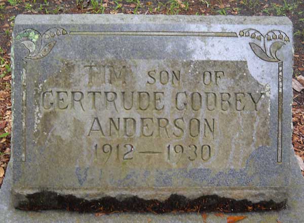 Tim Anderson Gravestone Photo